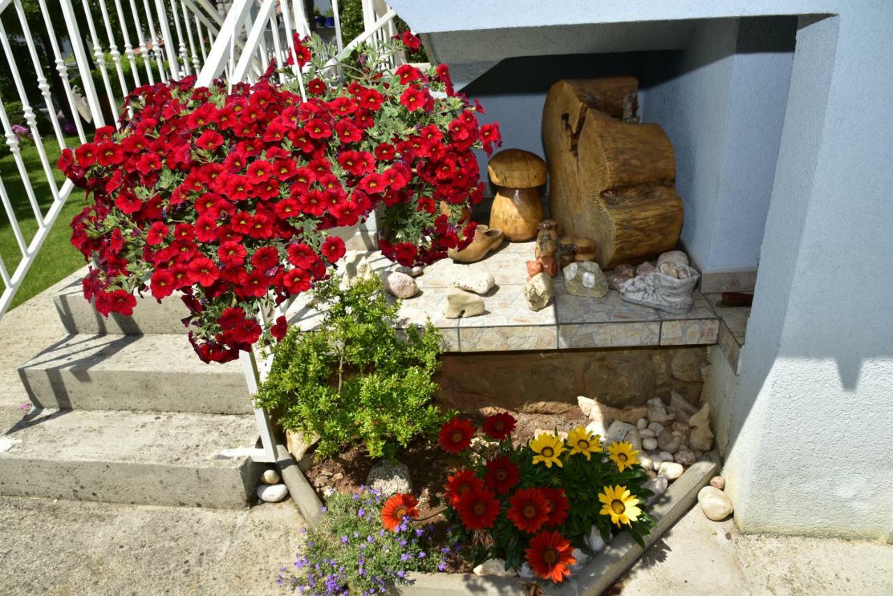Apartment Blumen Oase 马林斯卡 外观 照片