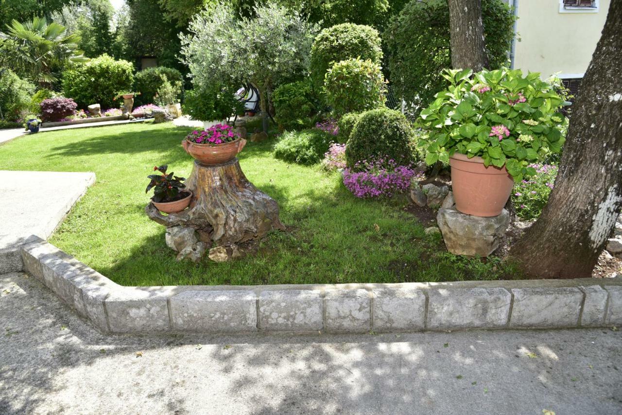 Apartment Blumen Oase 马林斯卡 外观 照片